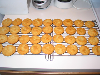 36 Blond Ginger Snaps